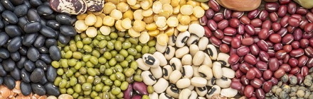 lentils and pulses